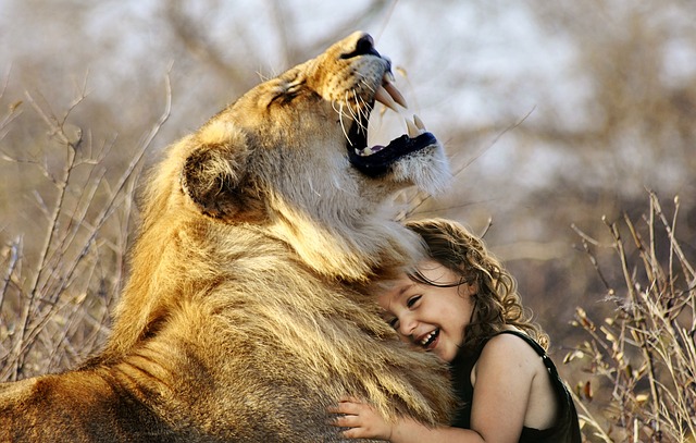 Ontdek de wereld van dierenplezier met animalfun.be